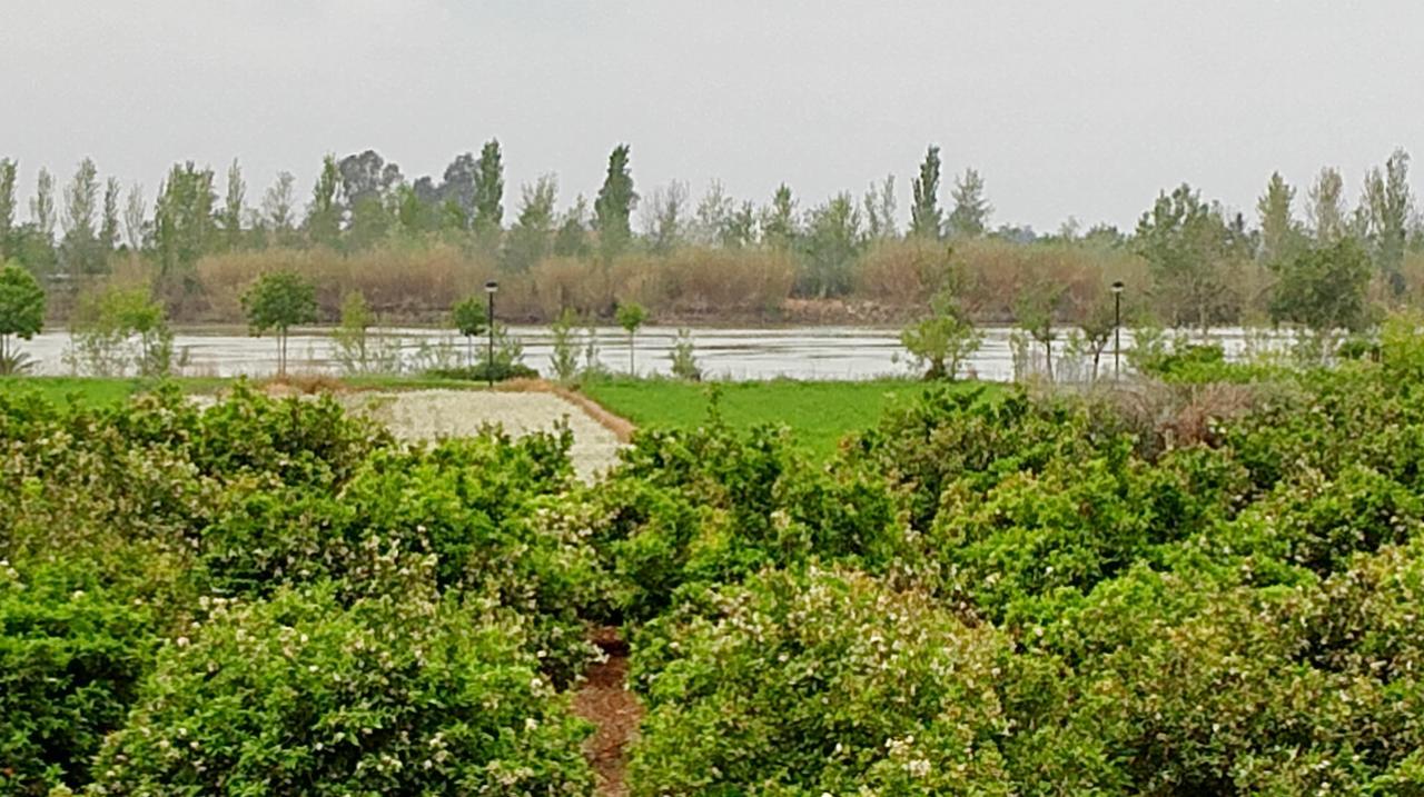 La Caseta Del Pitxo Deltebre Exterior foto